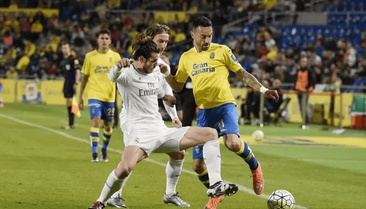 机会来时果 机会来时果