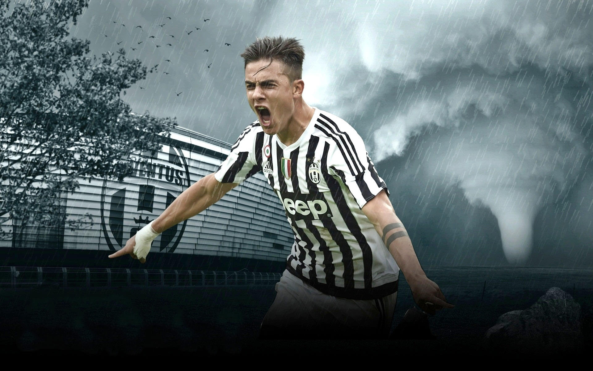 北京队以强 北京队以强